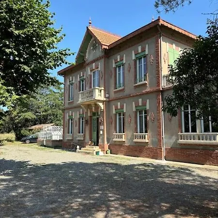 Terrasse Odette Тулуза